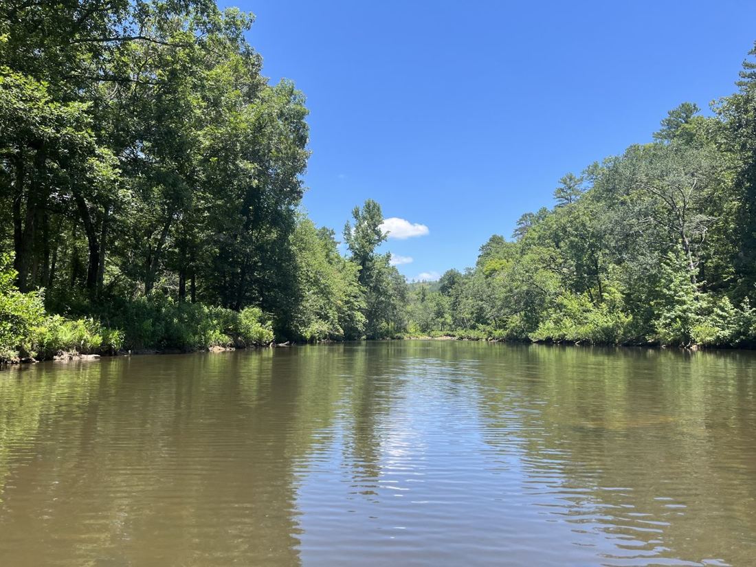 A calm river lined with green trees
