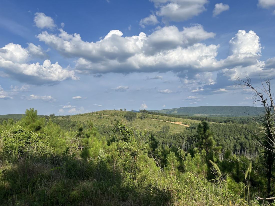 Green hills and ridges under a blue sky with white clouds